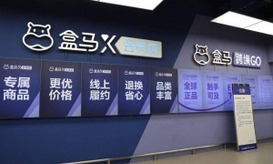 马云站台张勇孵化的盒马，为何会员店全军覆没？